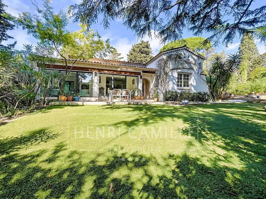 Aed - Villa with Pool near Cannes Centre