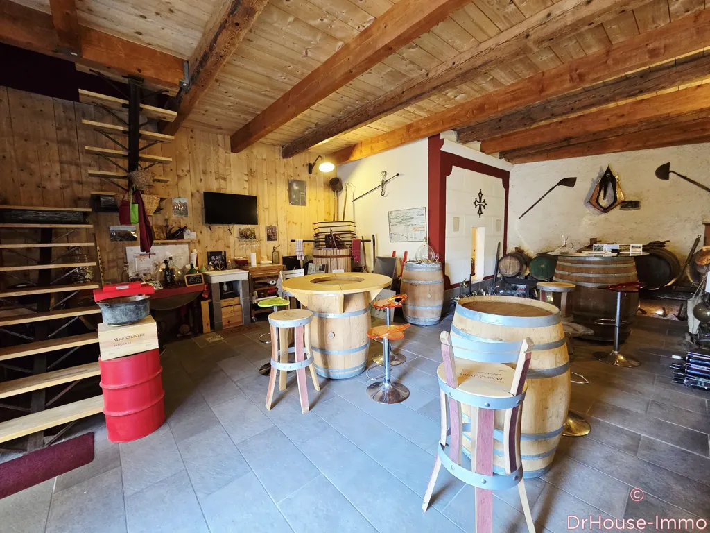 Toad - House with Guest Annexe in Quarante