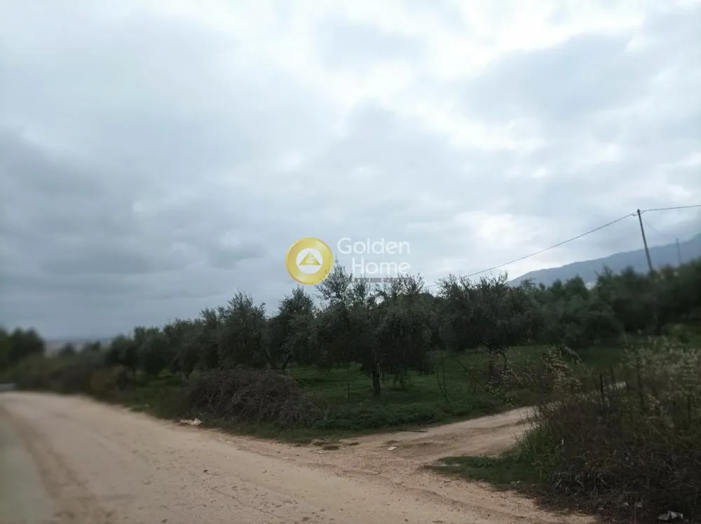 Aed - Buildable Plot with Sea View in Aprovouna, Chania