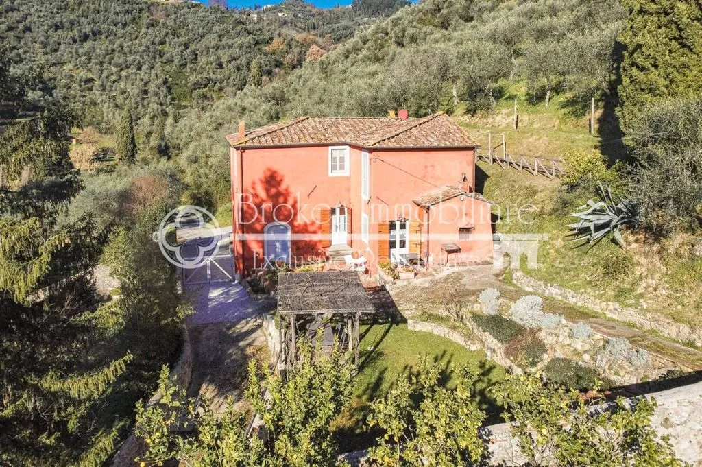 Exterior - Rustic Villa with Olive Grove in Massarosa