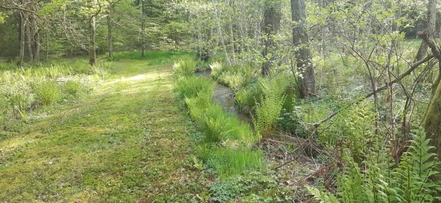 Jardin - Terrain avec Étangs Vidangeables et Maison à Épinal