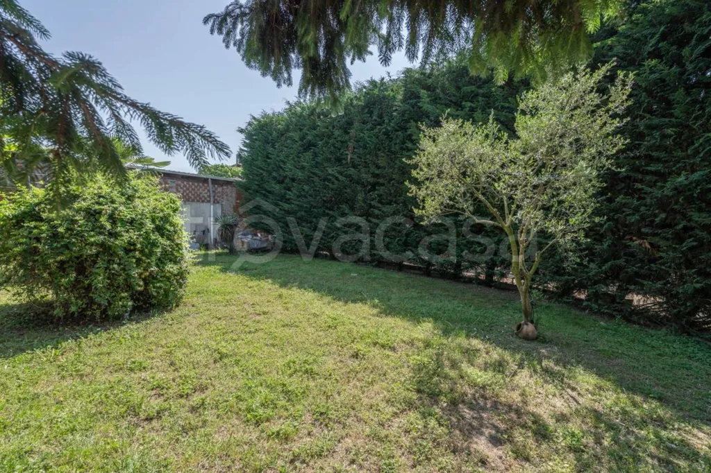Jardin - Villa with Pools and Garden in Mazzè