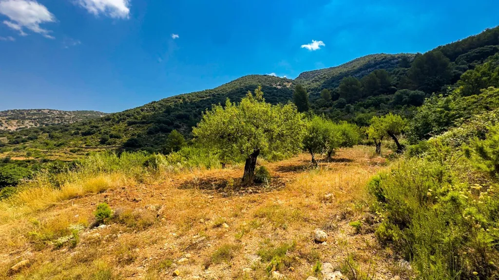 Aed - Eco-Resort Platform with DIC in Sierra Engarcerán