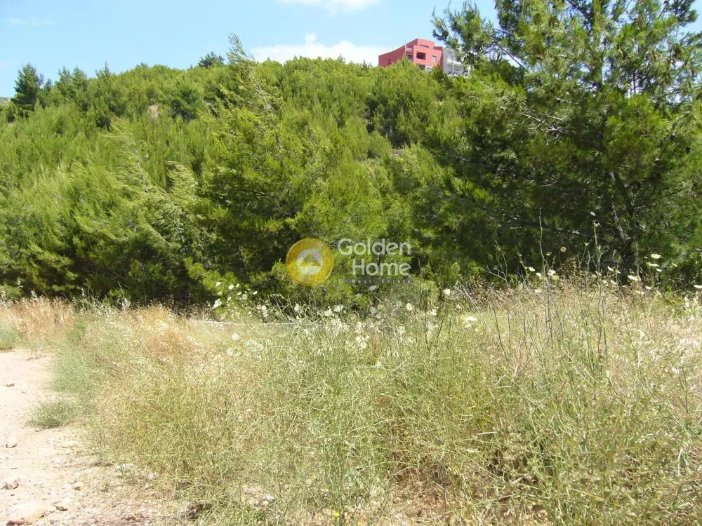 Jardin - Corner Plot House with Sea View in Diony