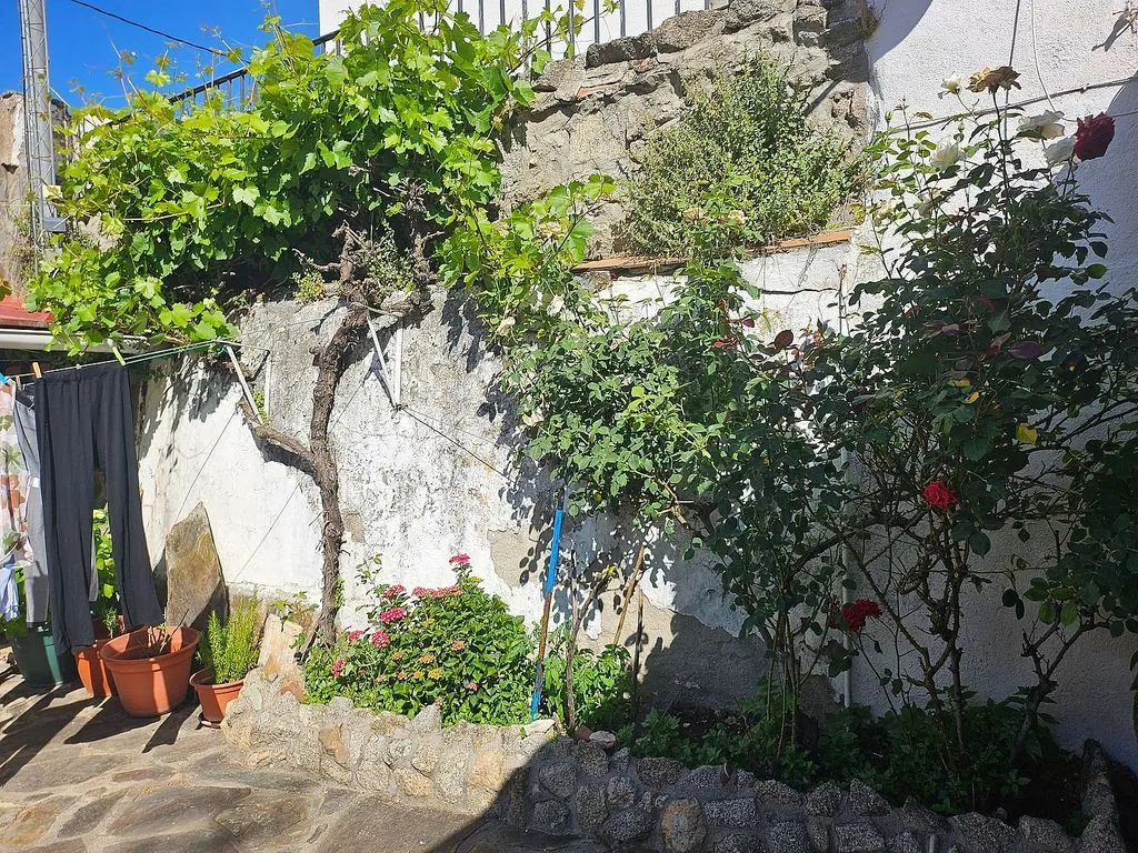 Jardin - Chalet with Garden in El Espinar