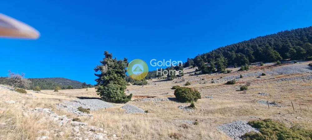 Agricultural Plot with Panoramic View in Arachova