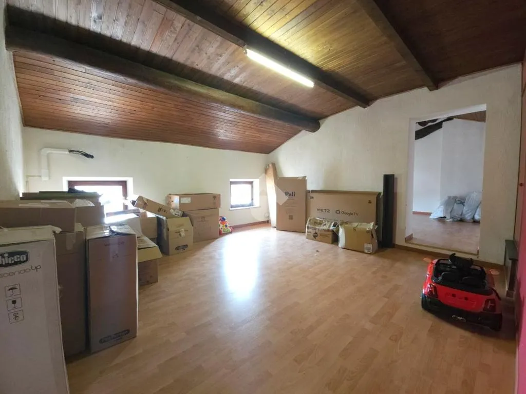 Toad - Spacious Independent House in Goito