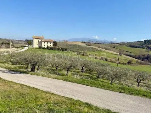 Jardin - Rustic Podere with Olive Grove near Spoleto