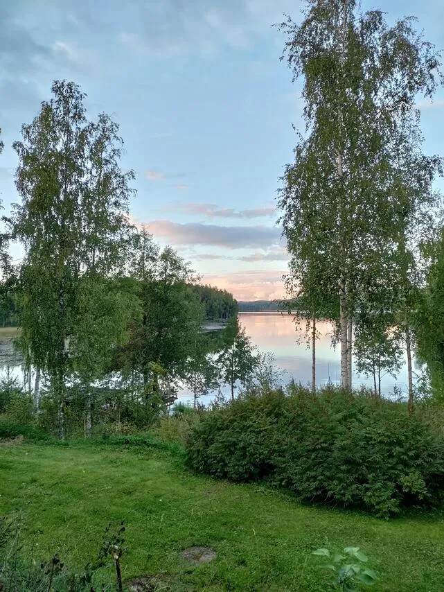 Garden - Detached House with Lake View in Sysmä