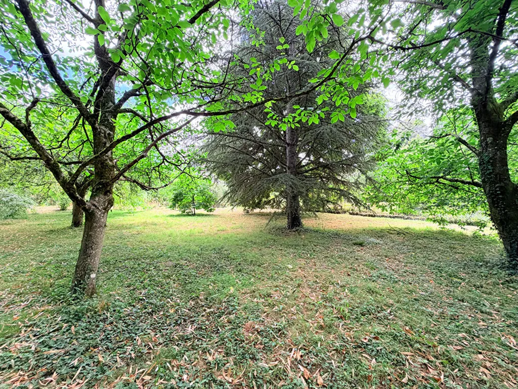 Jardin - Propriété Ancienne avec Vue sur Château à Apremont