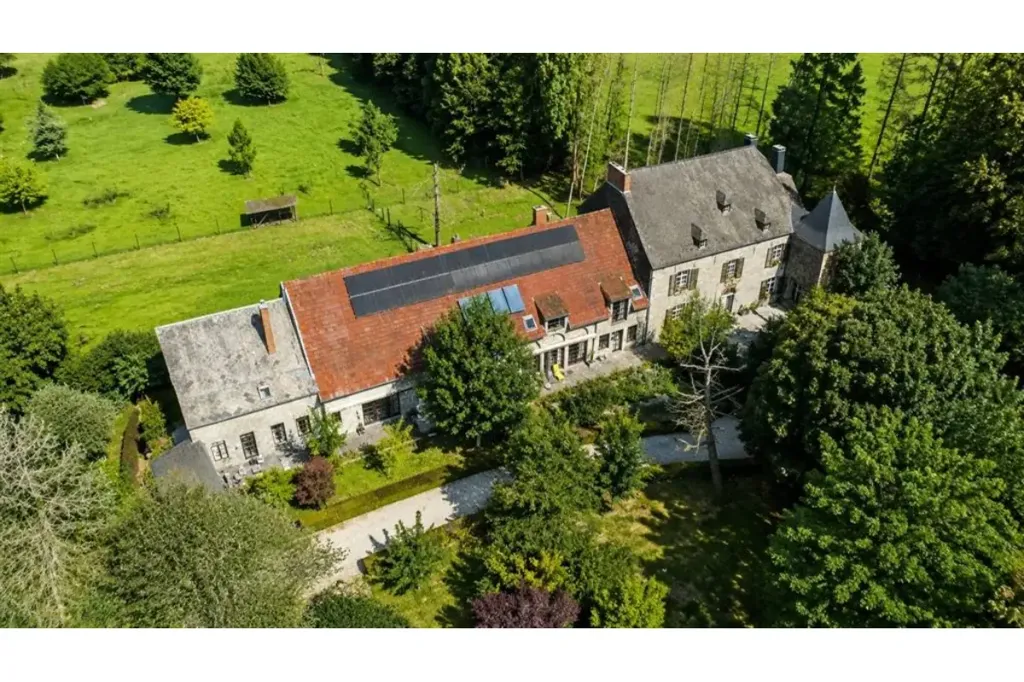 Õhuvaade - Historic Manor with Park in Géronsart