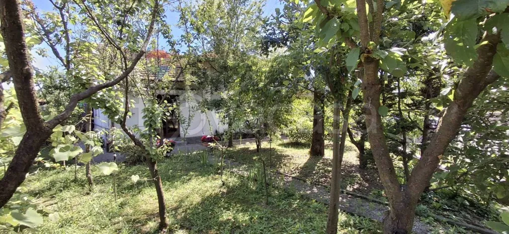 Giardino - Single-Level Villa with Private Garden in Paruzzaro