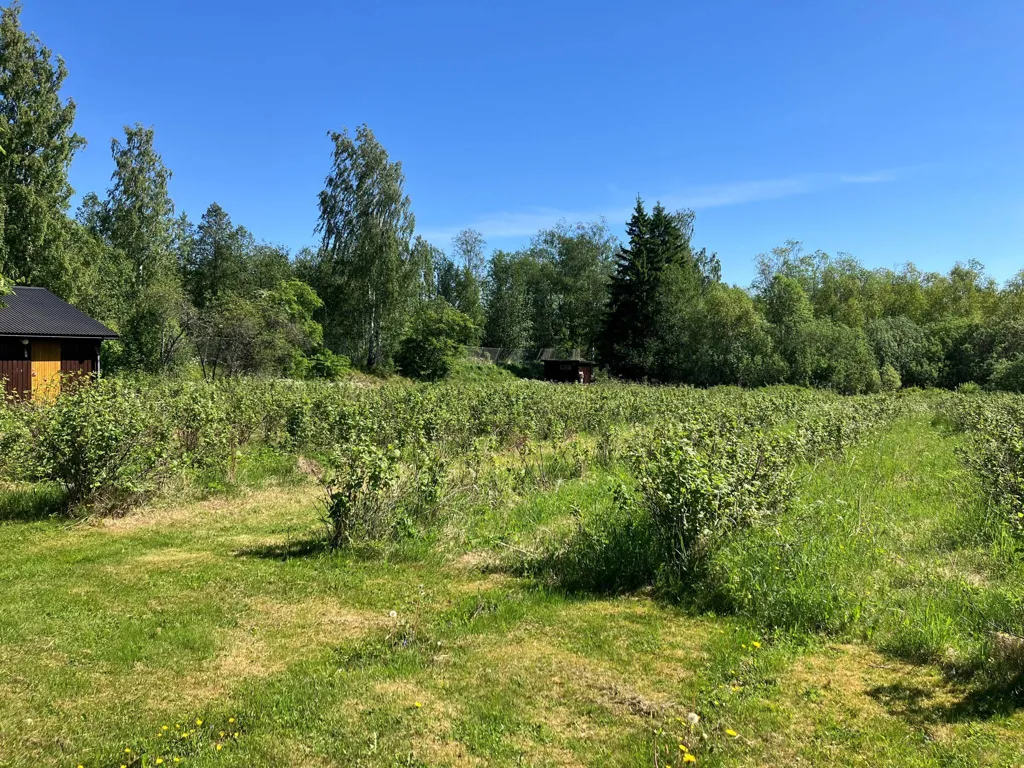 Aed - 1-Storey Villa with Garden in Lantlig Setting