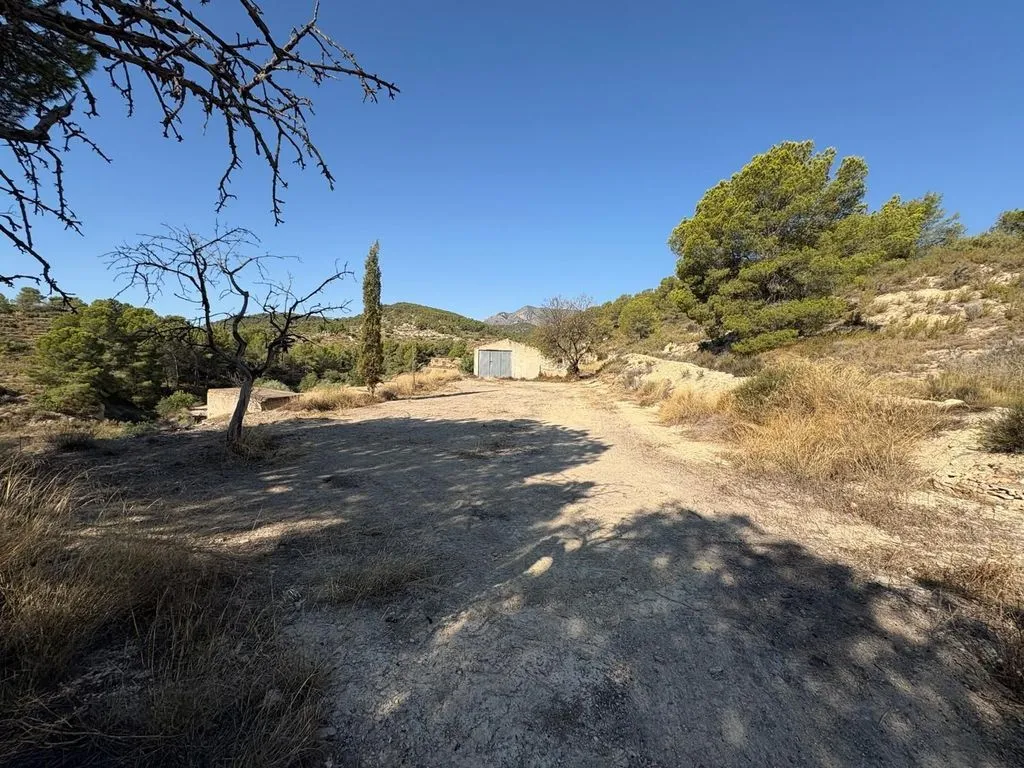 Aed - Luxury Farmhouse with Large Land in Villajoyosa
