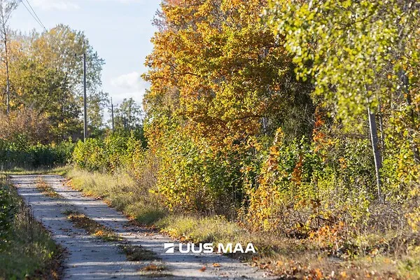 Jardin - Terrain à Lääne-Harju vald
