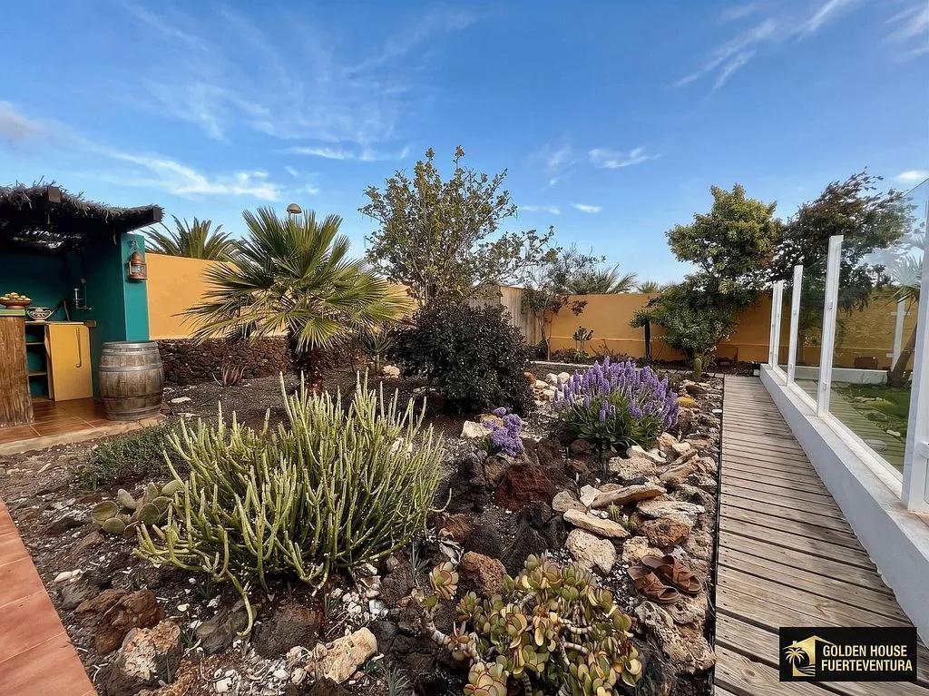 garden