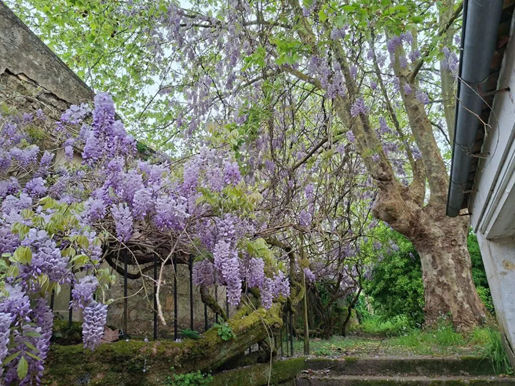 Aed - Charming Stone House with Garden in Pauillac