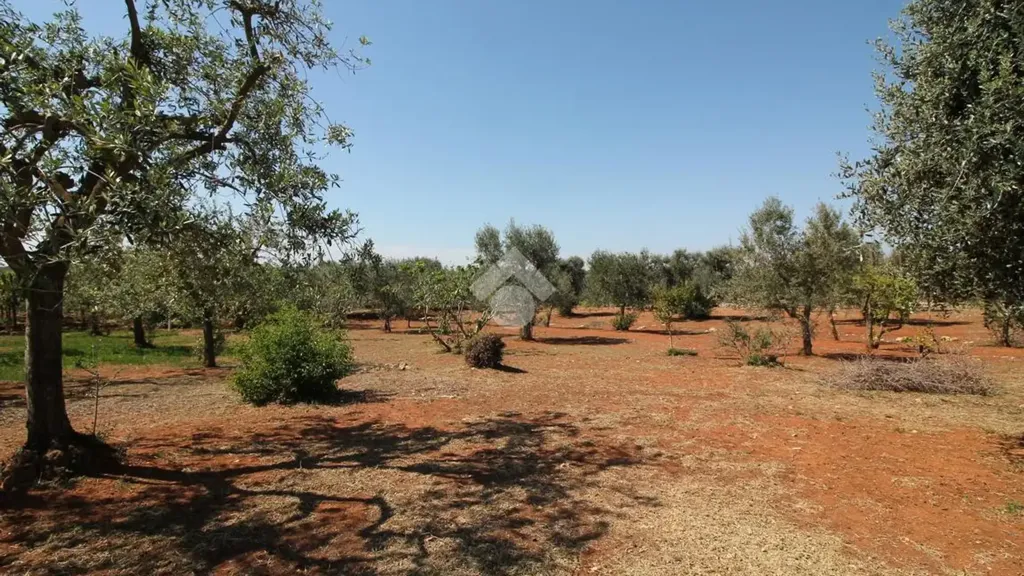 Rustic Cottage with Buildable Land near Ostuni