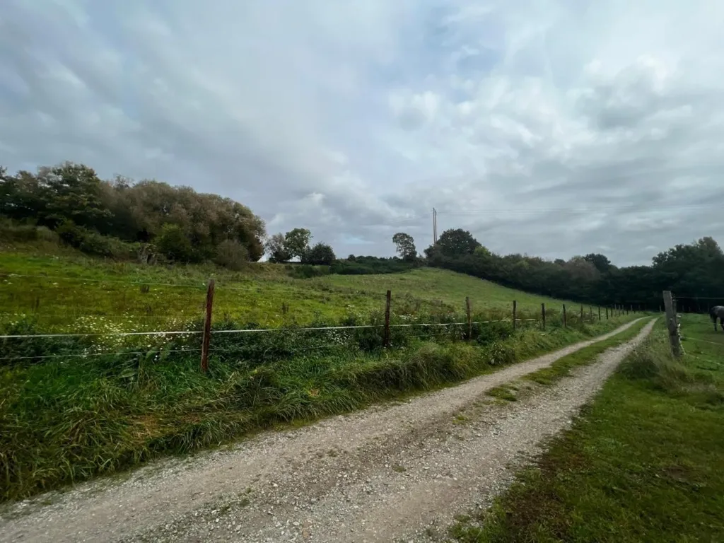 Garden - 2ha Natural Retreat in Rural Setting