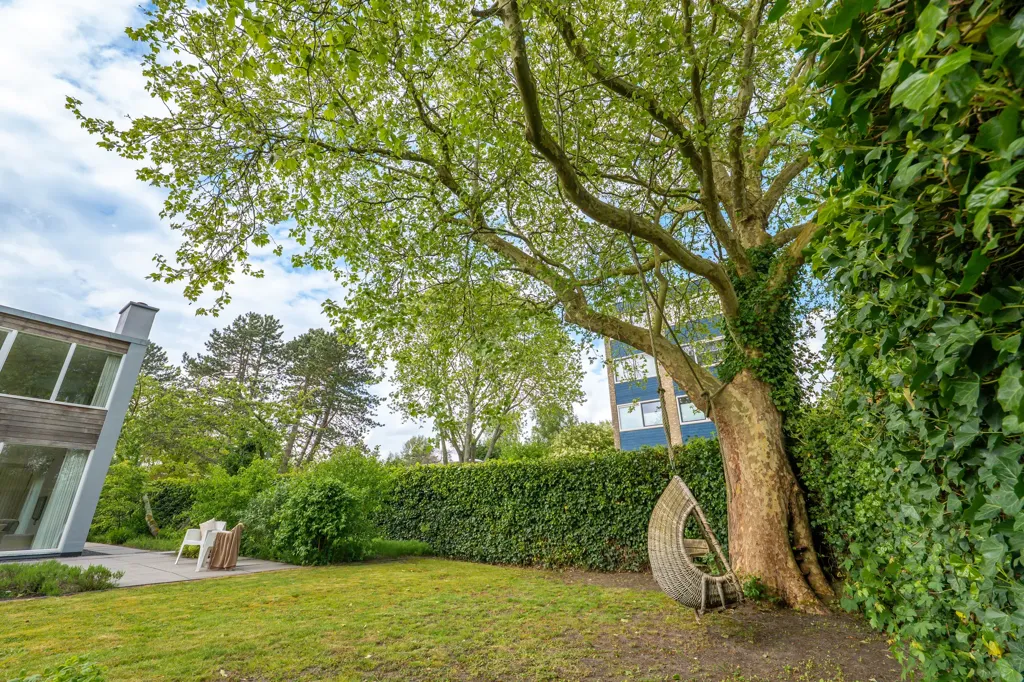 Aed - Villa with Polder View in Bergen