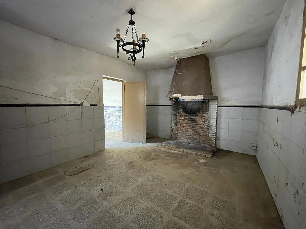 Toad - House with Terrace in Valdepeñas
