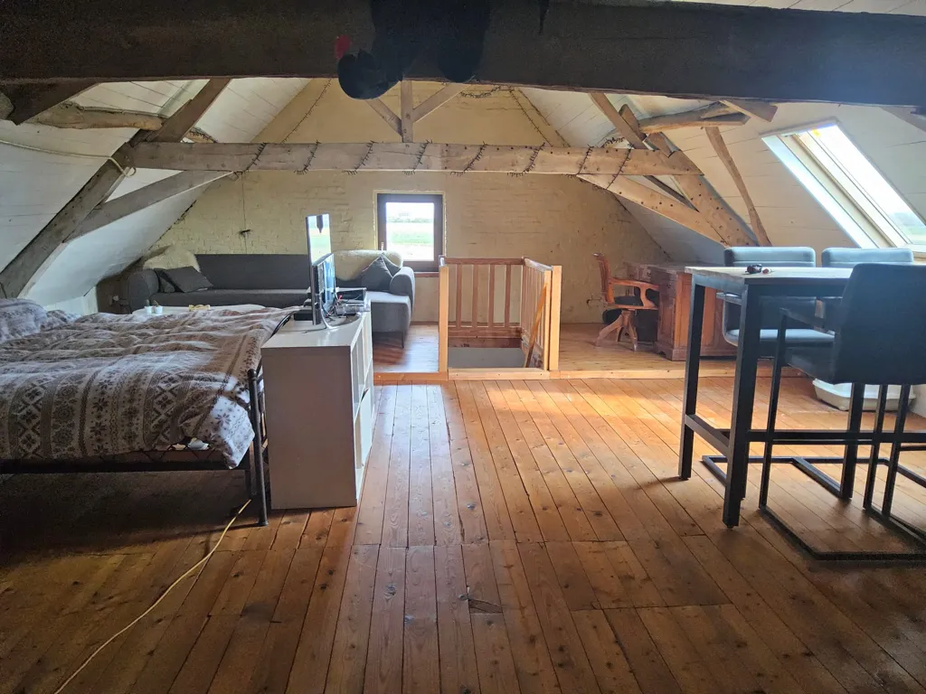 Toad - Historic House with Garden in Beveren