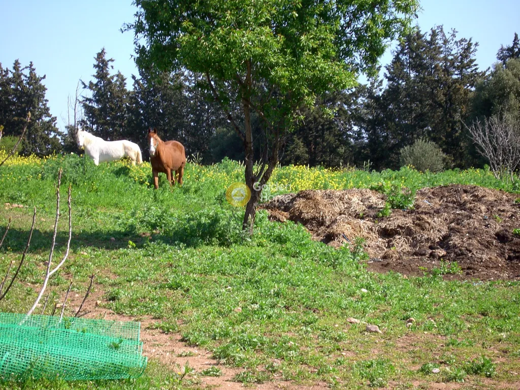 Aed - Plot with View in Koropi, Attica