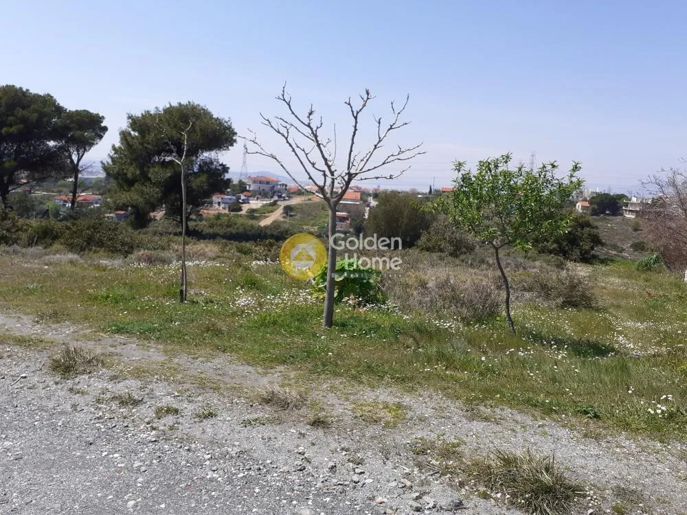 Aed - Plot with Panoramic View in Ano Liosia