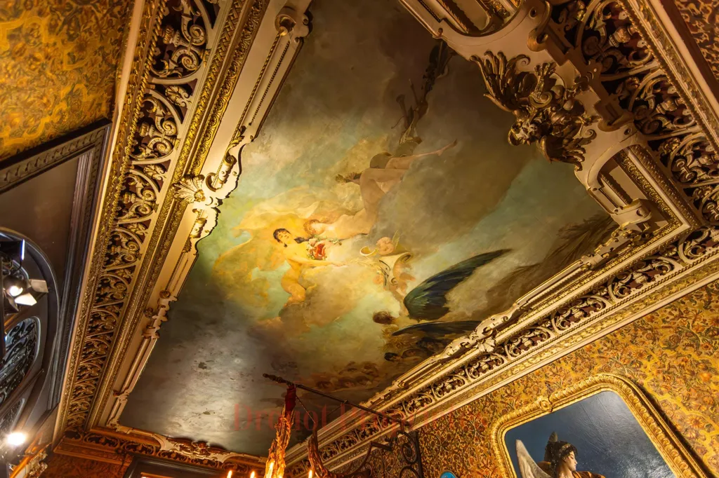 Toad - Historic Duplex Mansion in Paris 9th
