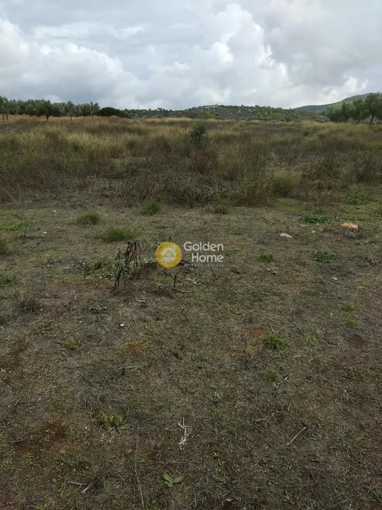 Aed - Plot with Sea View in Synteria, Keratea