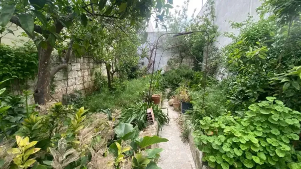 Garden - Terraced House with Starry Ceilings in Sava