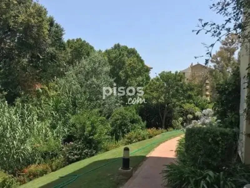 Garden - Apartment with Pool and Golf View in Guadalmina Alta