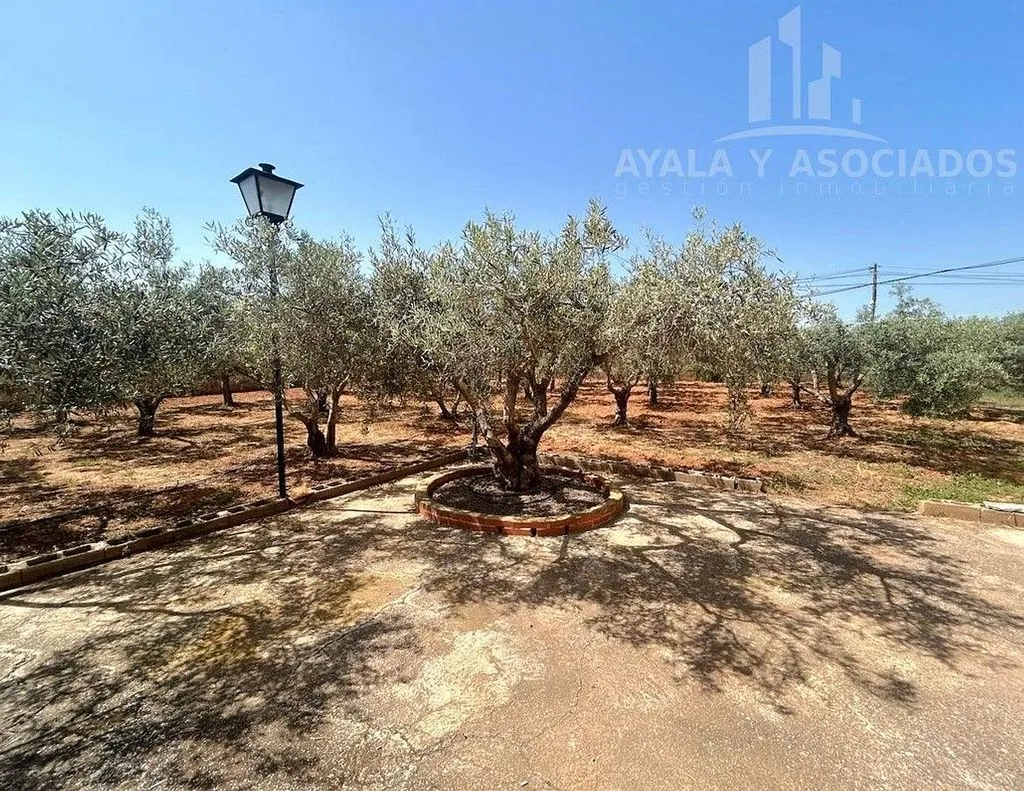Aed - Rustic Finca with A/C in La Aljorra