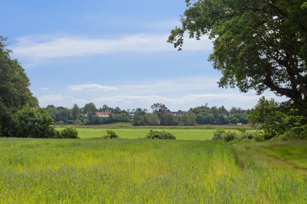 Jardin - Medieval Manor with Forest View in Djursland