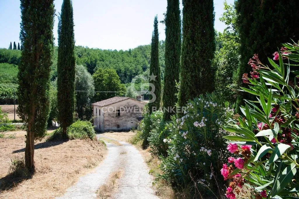 Exterior - Luxury Hotel with Panoramic Views in Buggiano