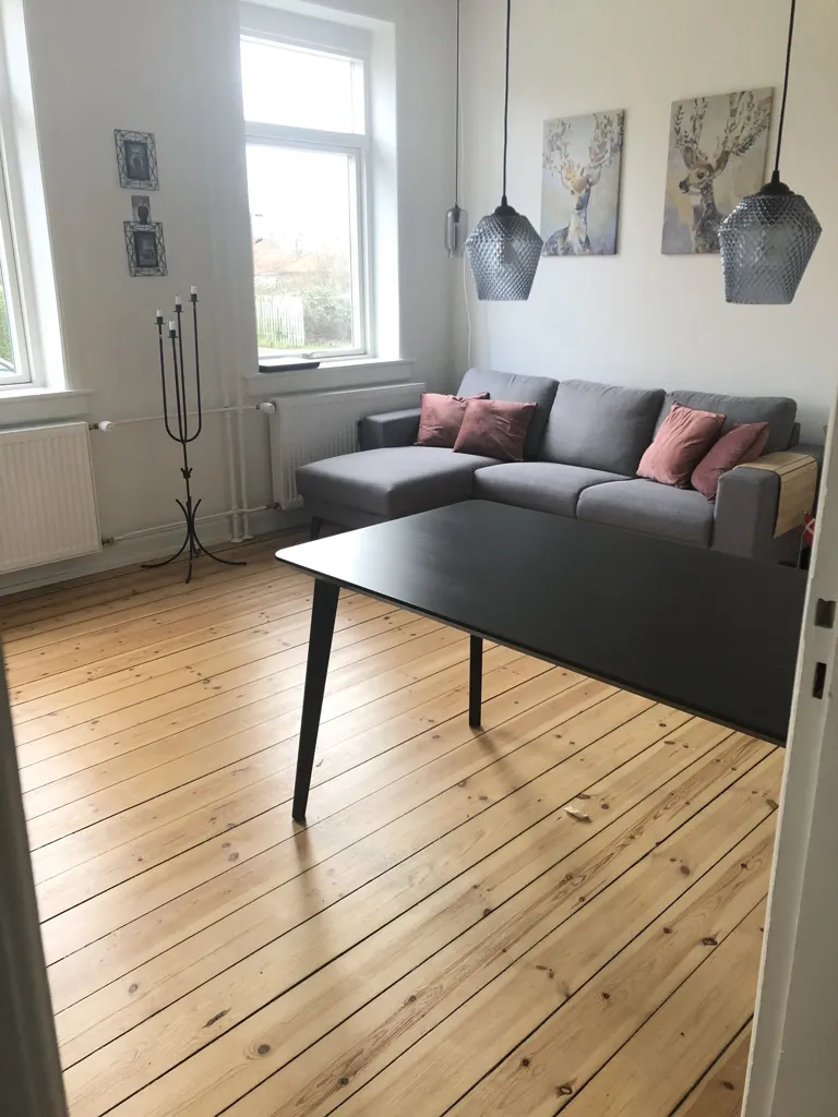 Living Room - Renovated 2-Bed Flat in Old Town Middelfart