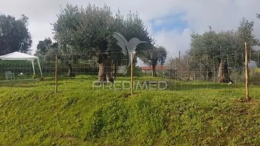 Jardin - Rural Plot with Olive Trees in Lapinha, Praia do Ribatejo