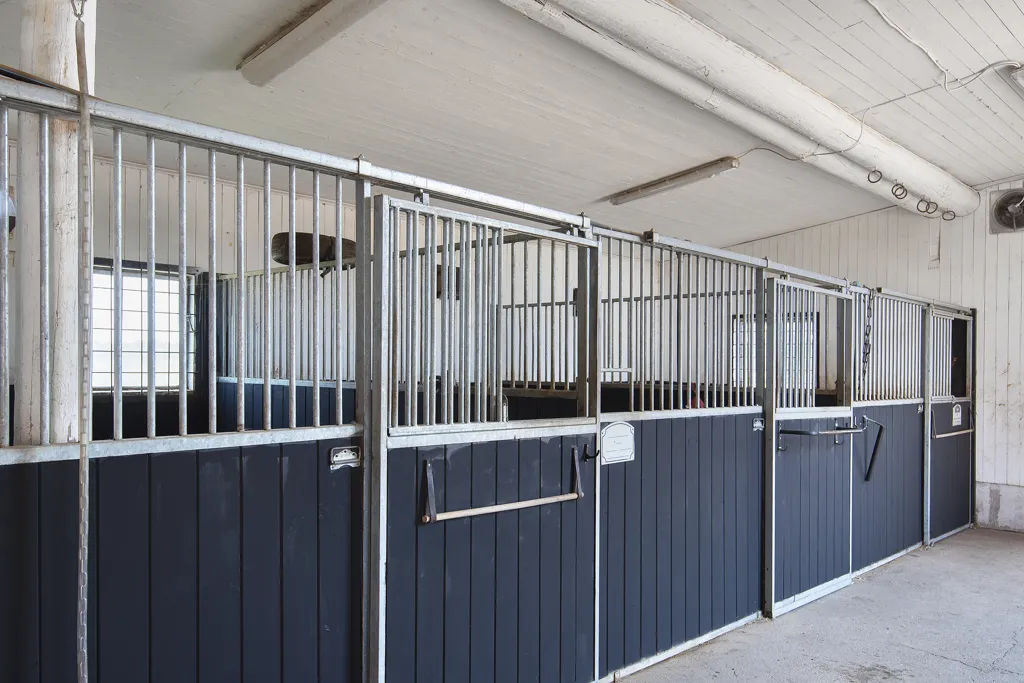 Toad - Equestrian Estate with Stables in Kolbäck