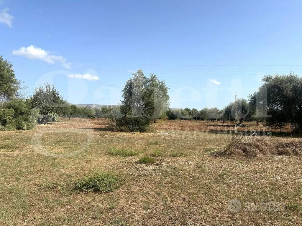 Aed - Buildable Land with Sea View in Noto