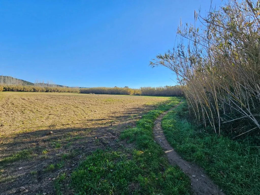 Aed - Developable Land in Palamós, Catalonia