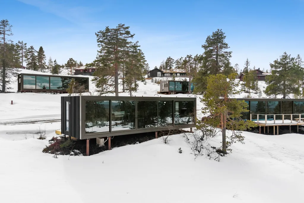 Extérieur - Architect-Designed Cabin with Ski Access in Omgi Blefjell