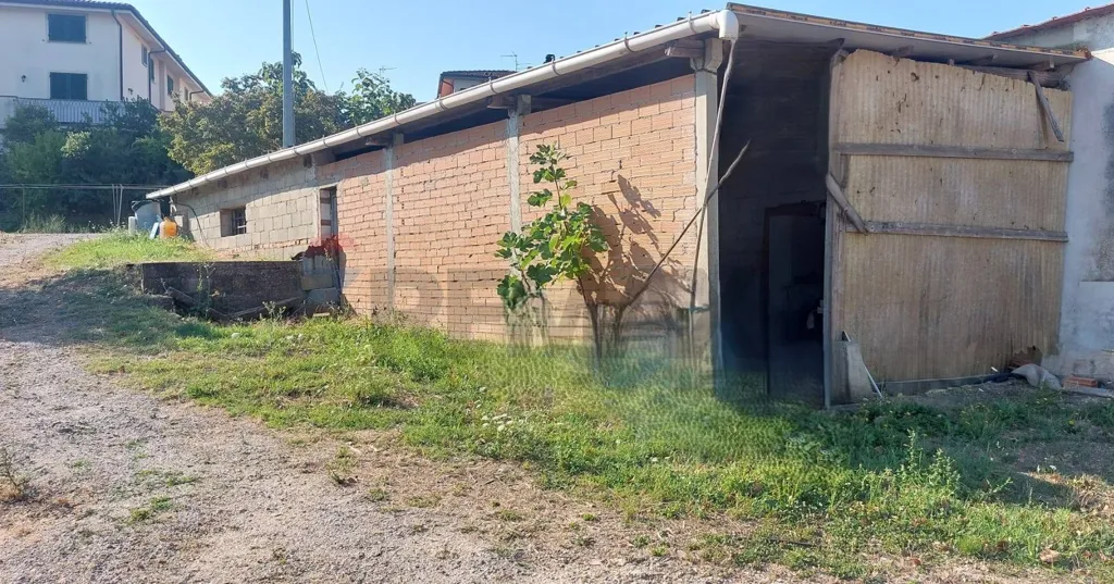 Aed - Wine Cellar with Vineyard in Vinci