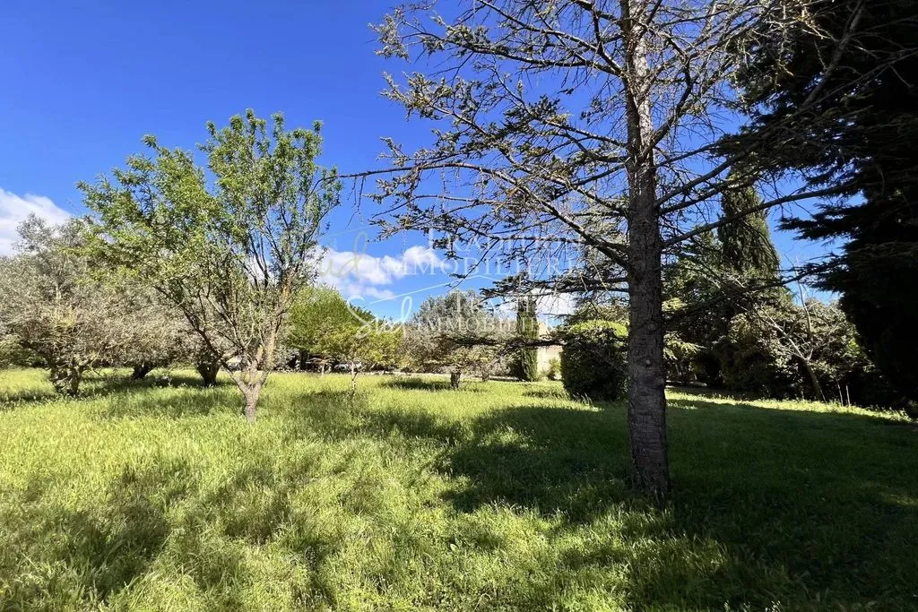 Aed - Luxury Villa to Renovate with Alpilles View