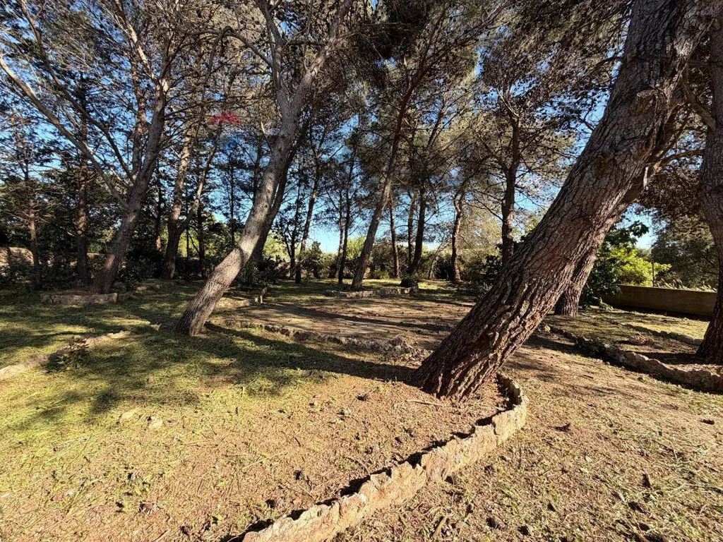 Aed - Villa with Garden in Martina Franca