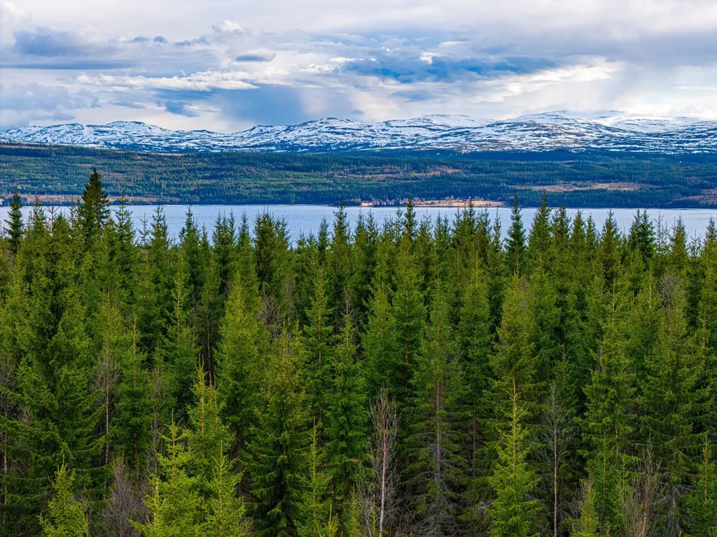 Forest Property with Lake View in Vassnäs