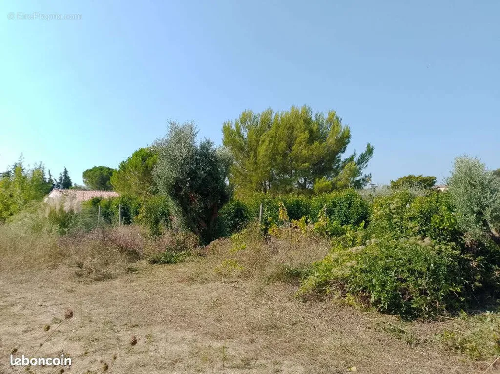 Aed - Constructible Plot with Existing Hangar in St-Maurice-de-Cazevieille