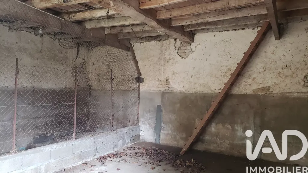 cellar