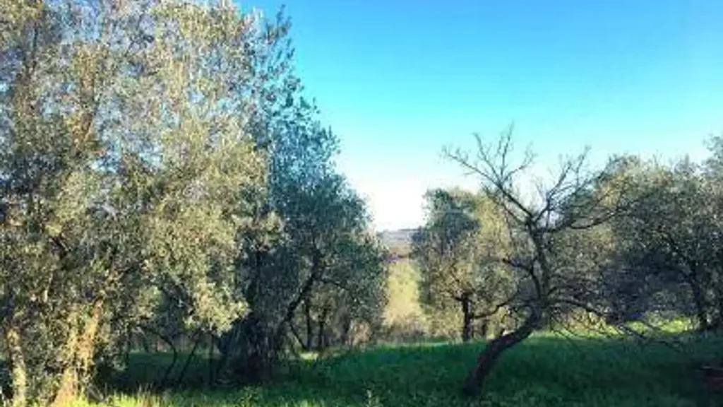 Aed - Villa with Panoramic Views in Empoli