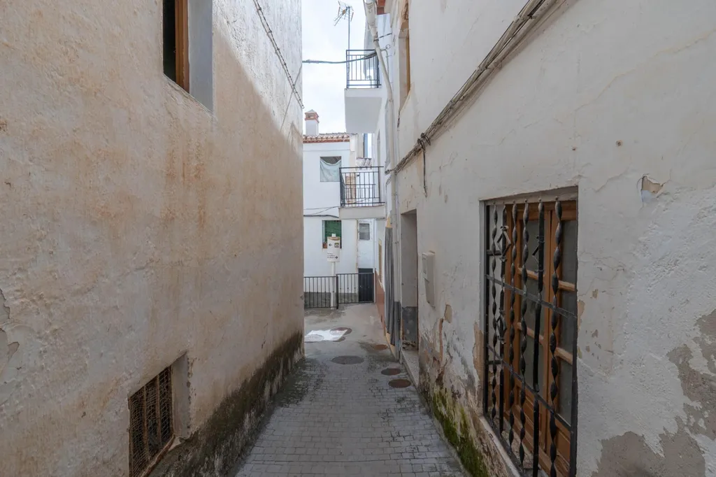 Jardin - Two-Storey House with Terrace in Albuñuelas