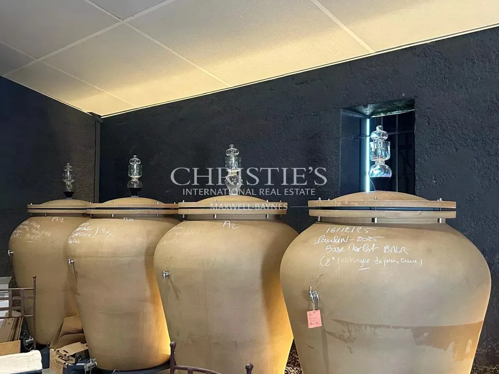 Toad - Vineyard Estate with Winery in Bordeaux